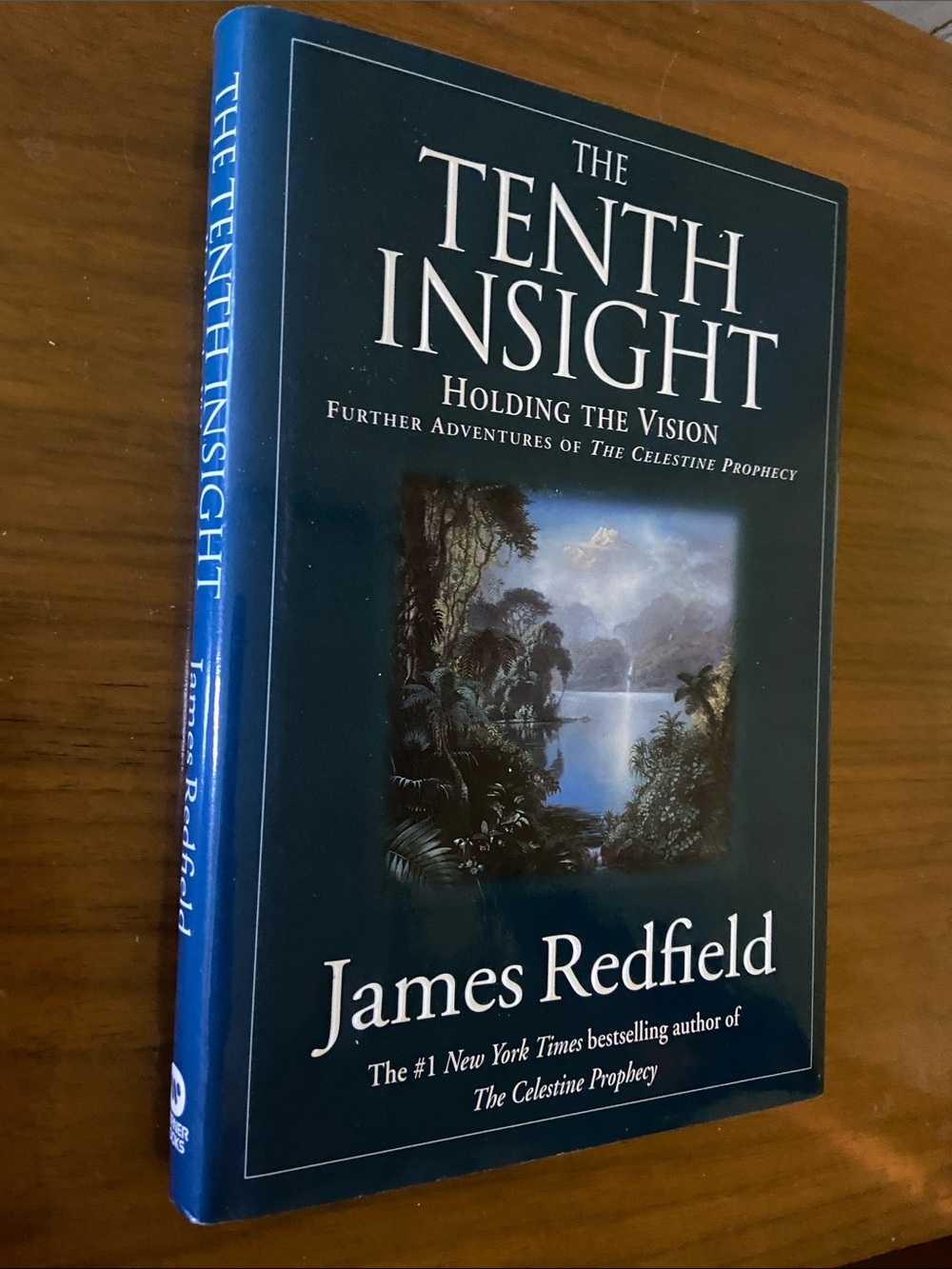 Celestine Prophecy Tenth Insight Dark Teal blue green tropical tree lake sky hc